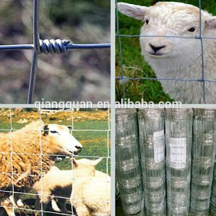 Galvanized Wire 1.2m height 50m 100m length fixed knot hinge joint hog wire fencing roll price