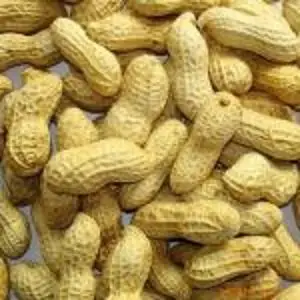 Competitive Price Peanut raw organic peanuts ground nut in shell roasted peanut type Nuts Kernels