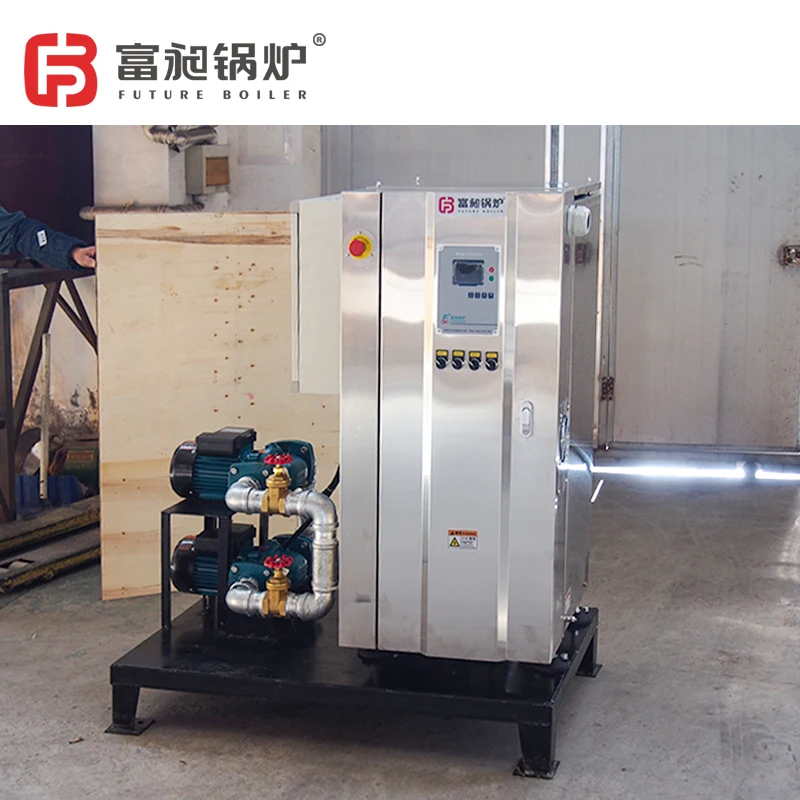 Newest Environmental Protection Quick Input Steam Boiler Economizer 200kg Coal Gas Fired Boilers for Dairies
