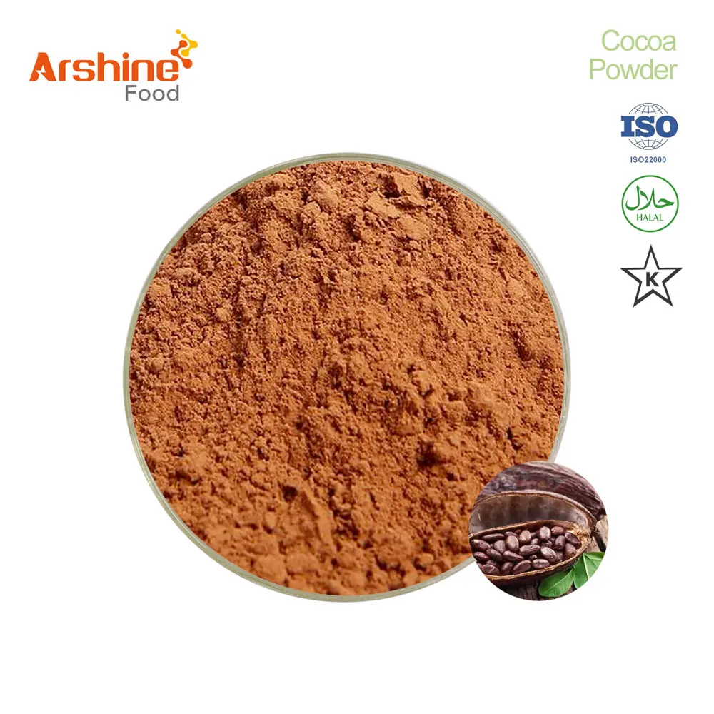 Wholesale Price Of Organic Raw Cooa Powder Malaysia Indonesia High Quality Natural Alkalized 25Kg Bag Cocoa Powder