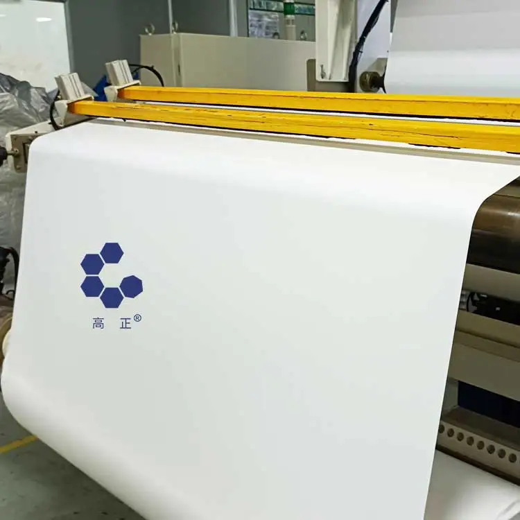 Tremendous chemical resistance PVDF cast film for solar panels