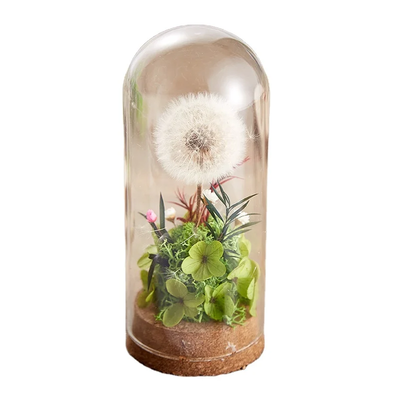 Подарочная коробка с неизменными цветами Набор одуванчиков букет сушеных цветов со стеклянной крышкой в подарок на день