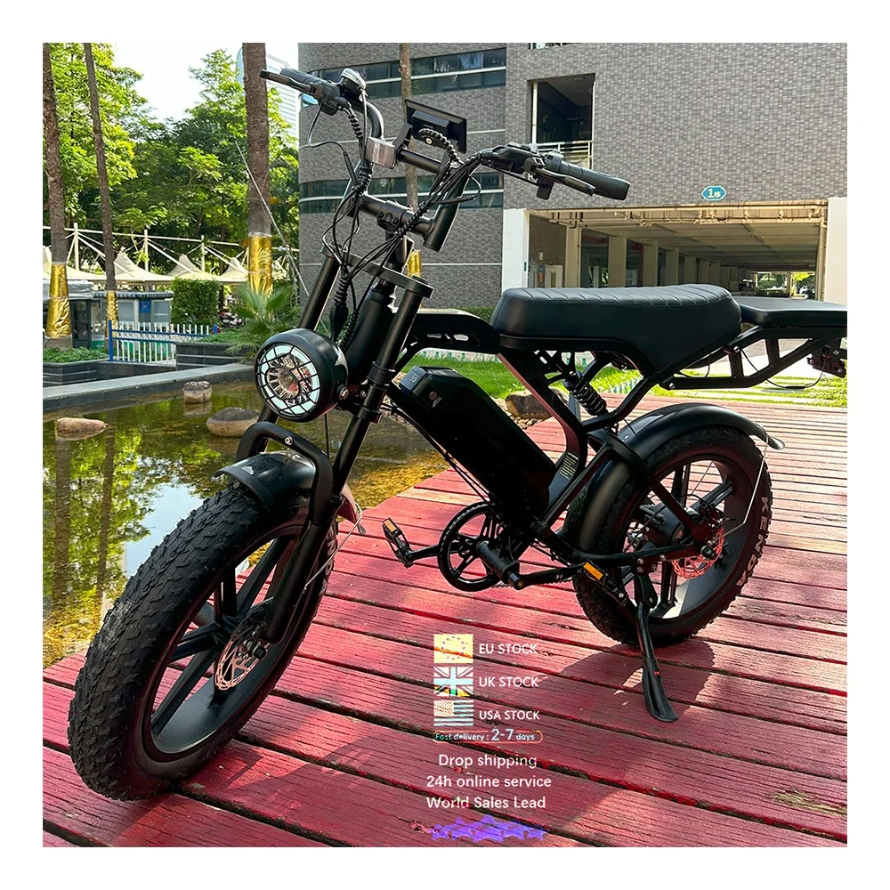 V20 Pro fatbike 20*4 inch 2 seat E bike EU warehouse   electric mountain  bike off road   bicycle electric bicycle  ebike