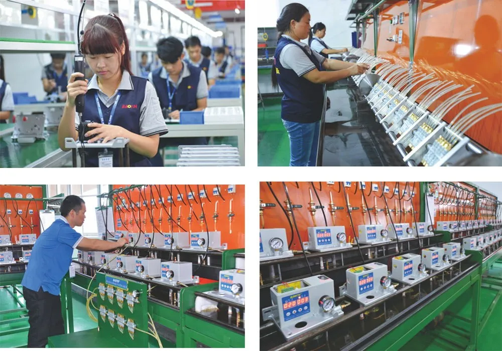 BAOTN Центральная система смазки используемая для станка с ЧПУ 2L мощный электрический инжектор масла смазочный плунжерный насос