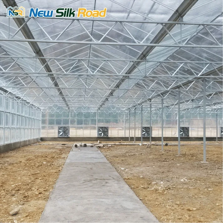 multi-span venlo glass polycarbonate greenhouse mini greenhouse glass greenhouse for agro