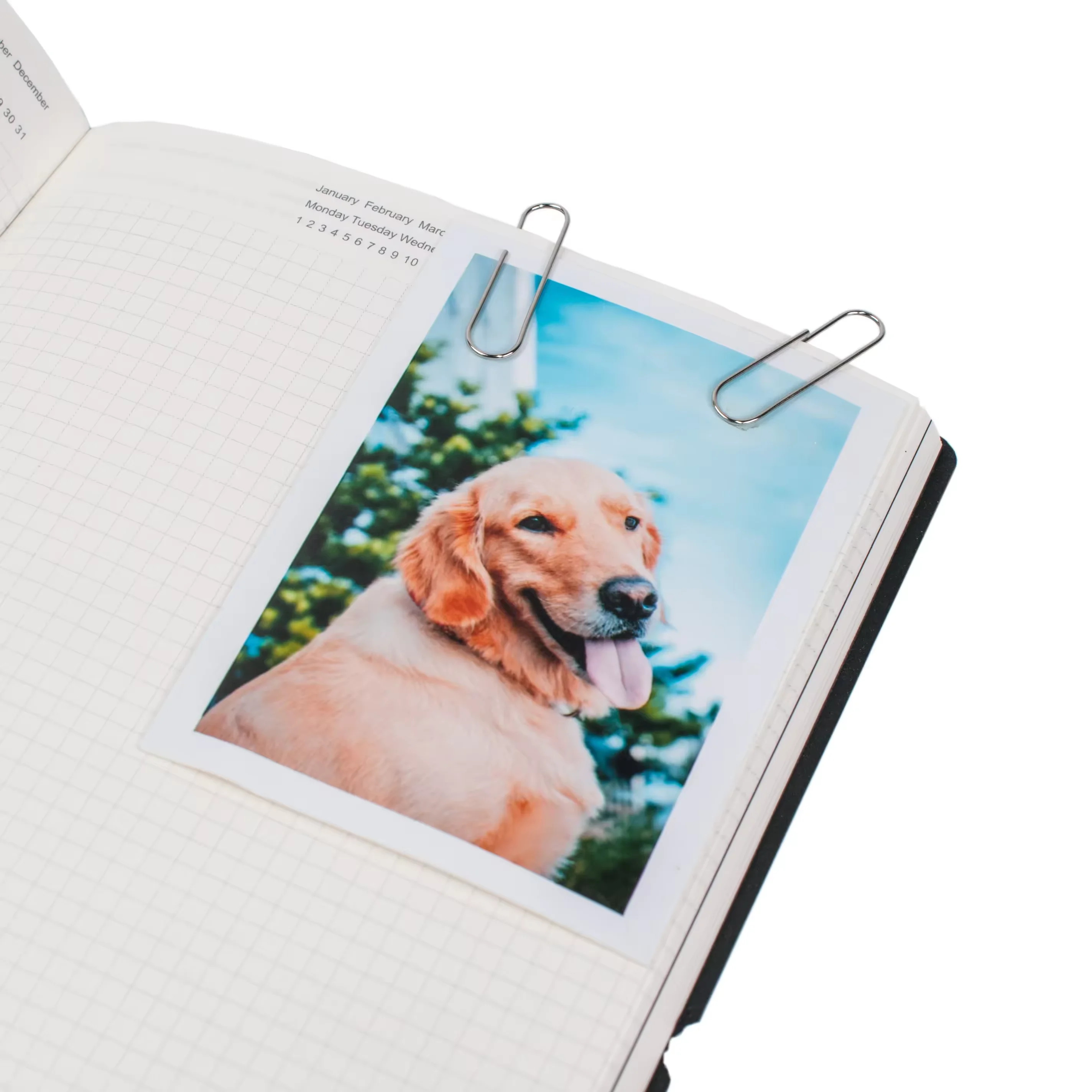 Promotion Price 28mm 100pc Flat round Silver Metal Paperclips Office Supplies Essential Paper Clips