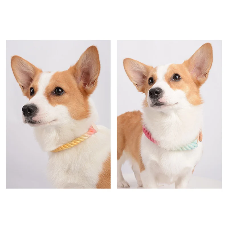 Adjustable Puppy Leather Belt Braided Cotton Rope  Leather Dog Collar for Small Dog Cat