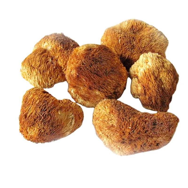 Лидер продаж 2021, Органическая сушеная Львиная Грива и гриб герициум