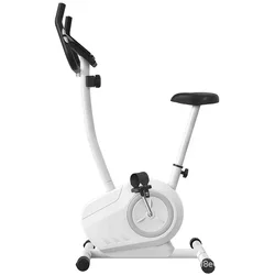 Manufacturers Wholesale Spinning Bike Home Magnetic Control Fitness Exercise Small Indoor Fat Burning Exercise Bike