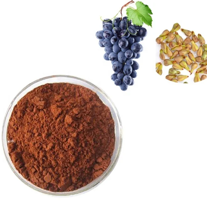 100% Nature Anti-Oxidant Procyanidin Powder/ Proanthocyanidins 95%/ Grape seeds  extract