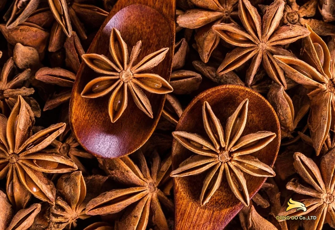 Cheap price Star anise origin Vietnam dried pepper single spices & herbs star anise seed star anise powder