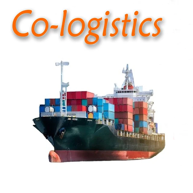 20ft 40ft  container sea shipping  to  AE Abu Dhabi from China fuzhou xiamen sea freight forwarder