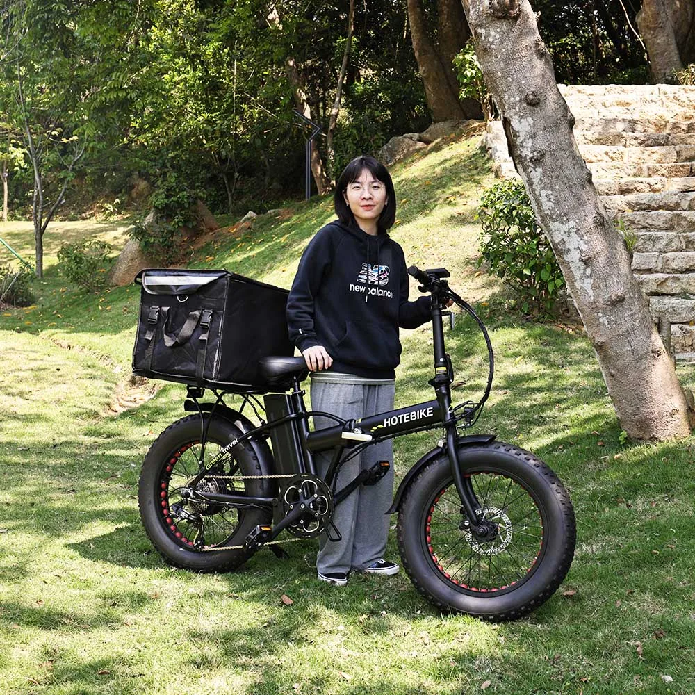 Best Price Fat Dirt Bicycle Batteries For 48V Electric Bike A7AM20 250 350 500W 750W motor foldable ebike