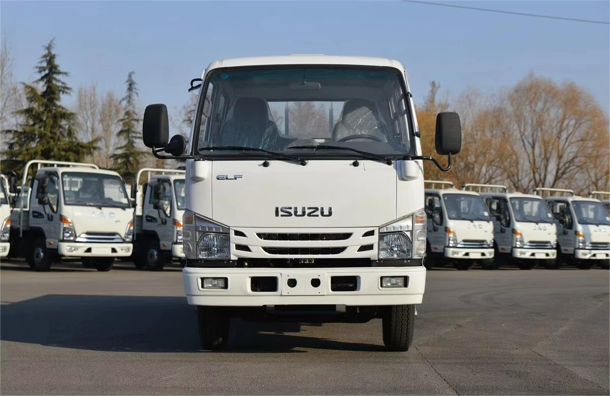 Isuzu NPR 100P Diesel 4X2 Double Cab Light Duty Cargo Van Factory Price on Sale Used Condition