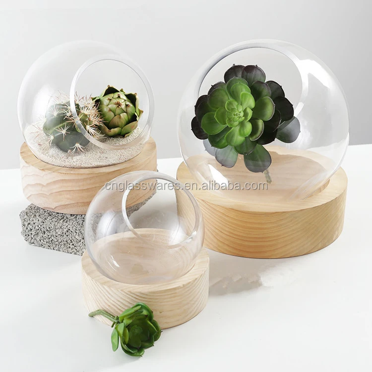 Выдувная стоящая круглая прозрачная стеклянная ваза для террариумов с отверстием и деревянным основанием