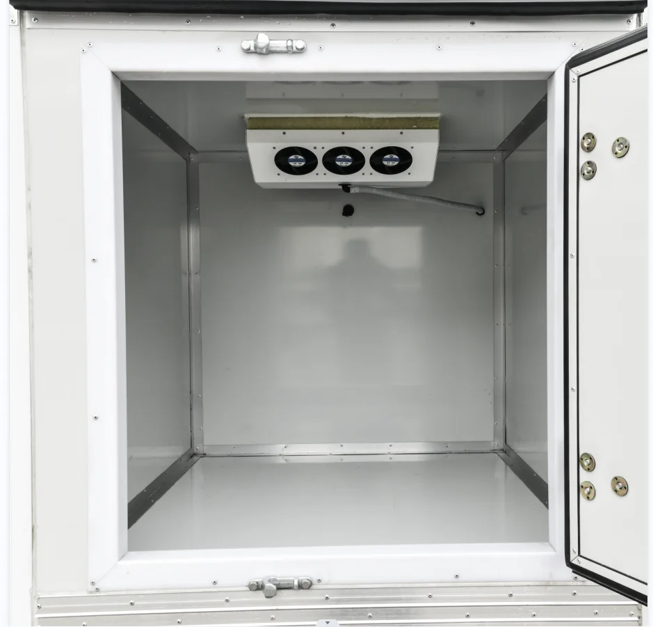 eec certification electric cars for european market 5kw 230km delivery cargo transport pick up van