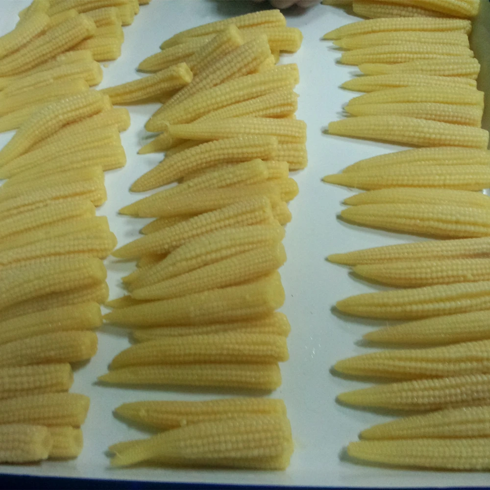 Low Price Canned baby Corn 425g/850g/A10