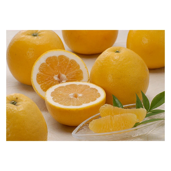 Japanese wholesale mandarin import vegetables and fruits with good quality