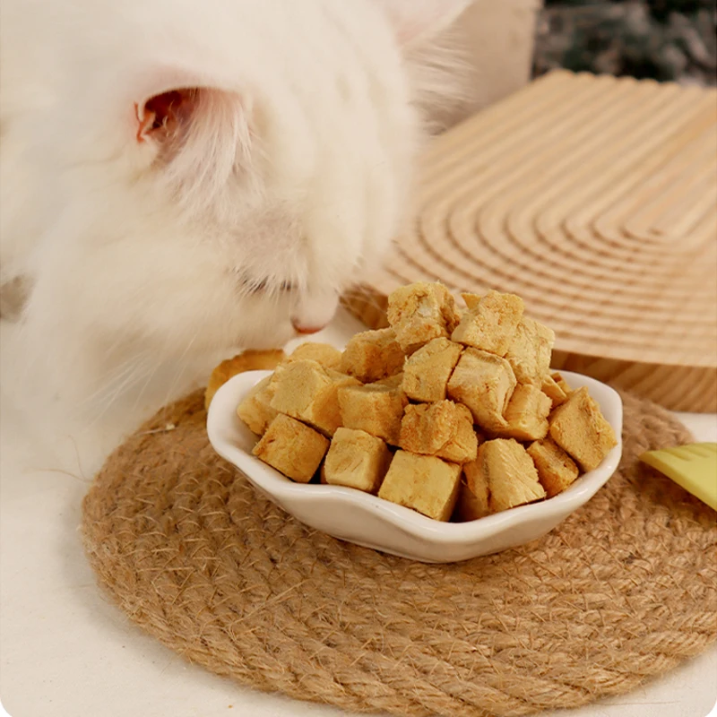 OEM ODM Pet treats and food factory manufacturer Lecithin rich Crunchy FD Salmon Dice dog cat snack