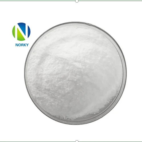 
Norky Supply Piracetam CAS 7491-74-9 Factory Best Price Nootropics Piracetam Nootropic powder US warehousing 