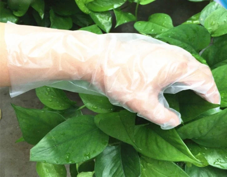 Cheap Price Disposable Kitchen Food Gloves CPE TPE Material  PE Gloves for Barber Beauty Salon