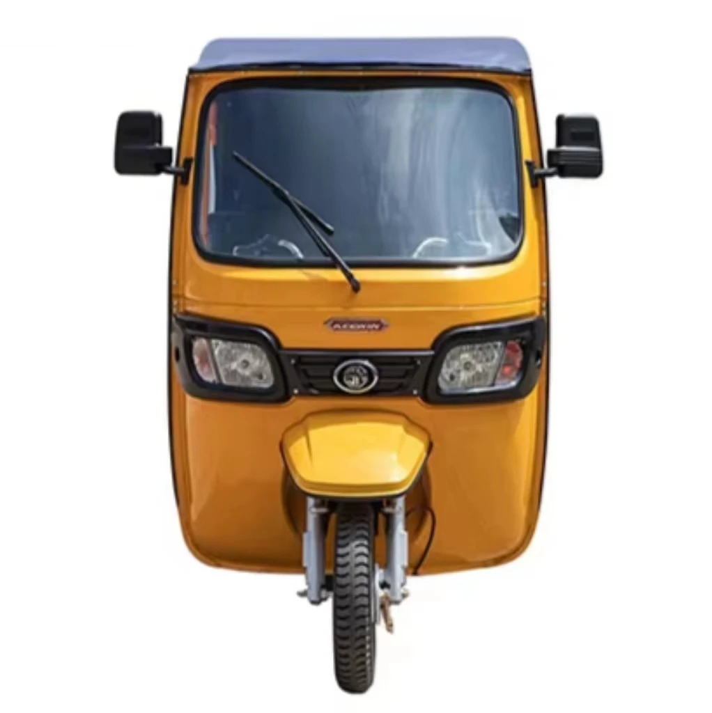 China Factory New Model Passenger Tricycle Electric 60V 2000W Shed Electric Tricycle For Adults Mini Car