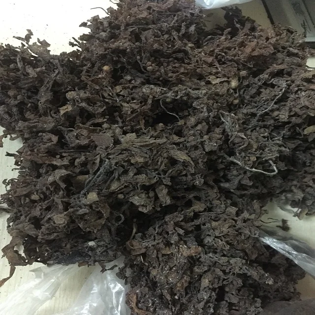 HOT HOT !!! SARGASSUM SEAWEED FROM VIETNAM WITH HIGH EXPORT STANDARD AND COMPETITIVE PRICE IN 2023