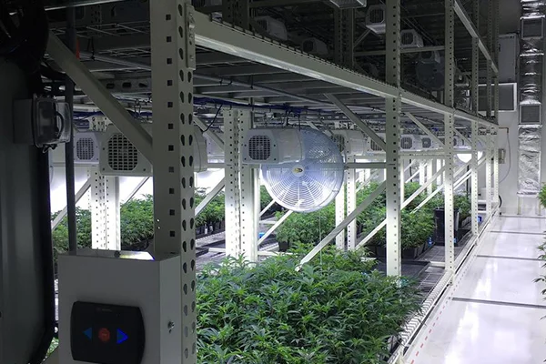 Skyplant 40-футовая медицинская посадка доставка конопли Затемняющая ферма