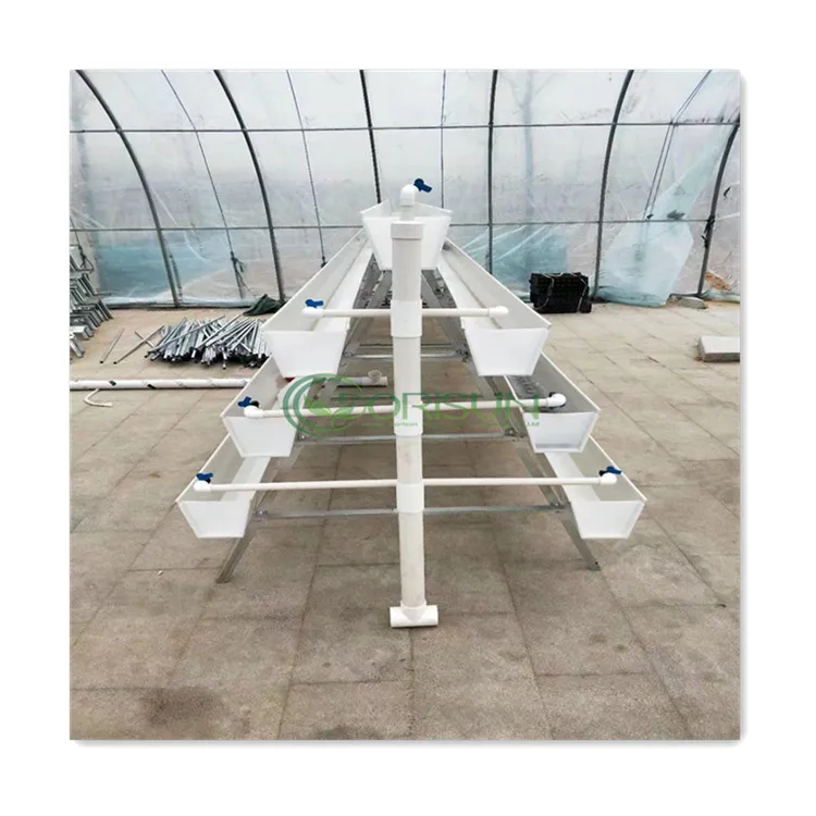 Agricultural Galvanized Steel Frame Strawberry Melon Vertical Fodder Irrigation Nft System Hydroponics