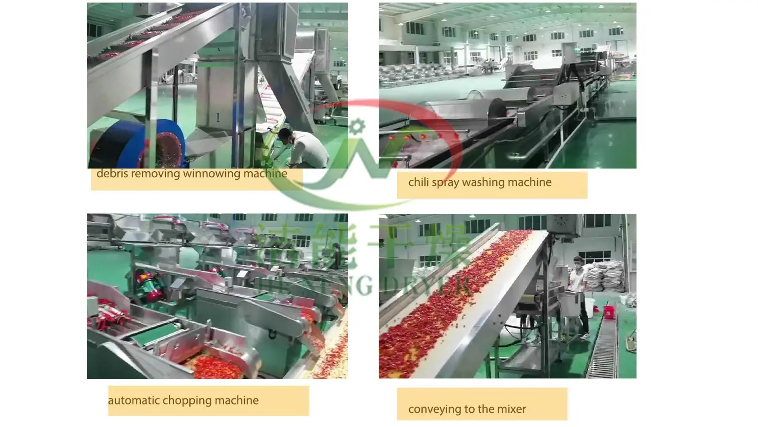 chopped-chili-processing.jpg