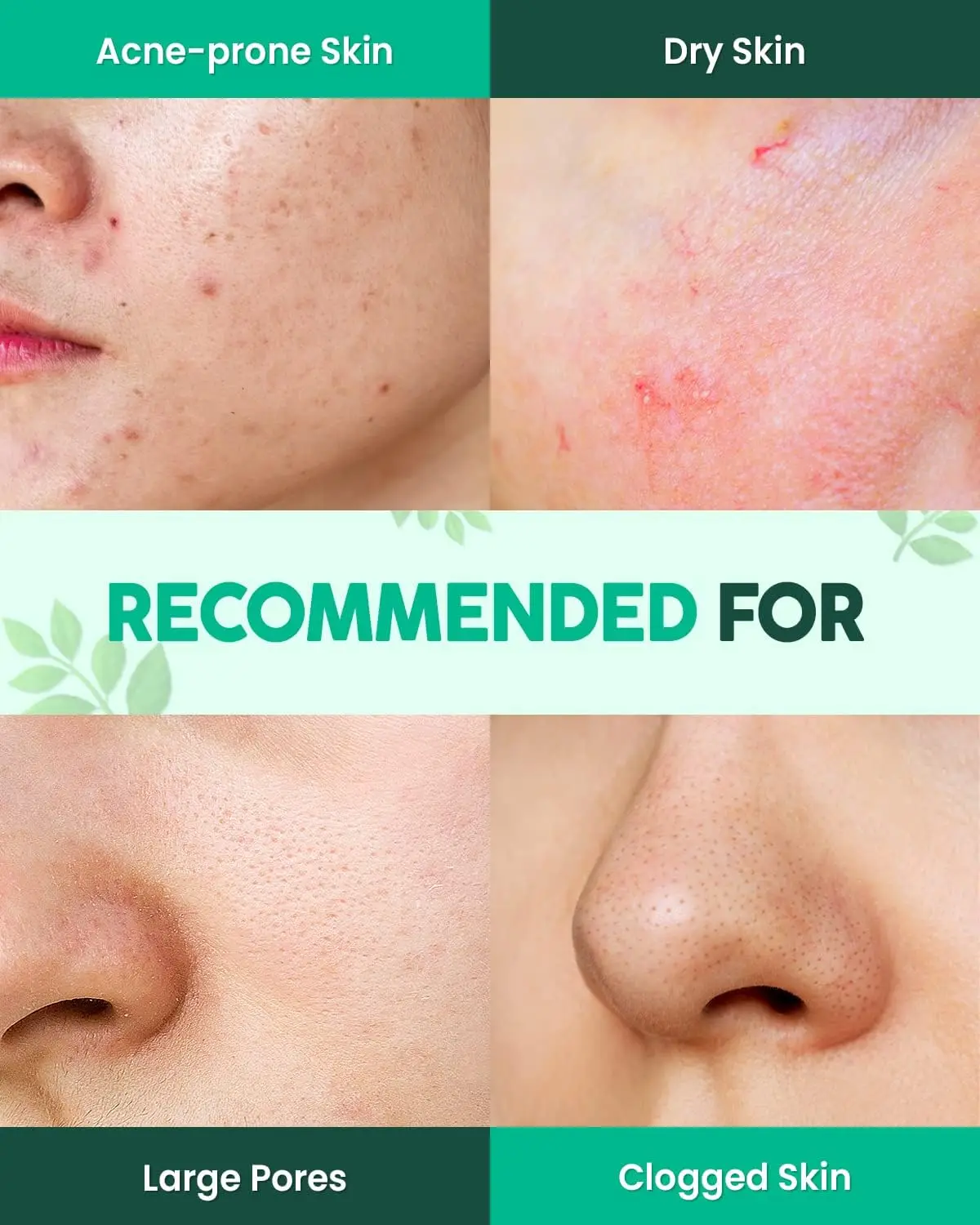 Private Label Hydrating Pore Purifying Calming Matcha Green Tea & Tea Tree Clay Mask for Acne