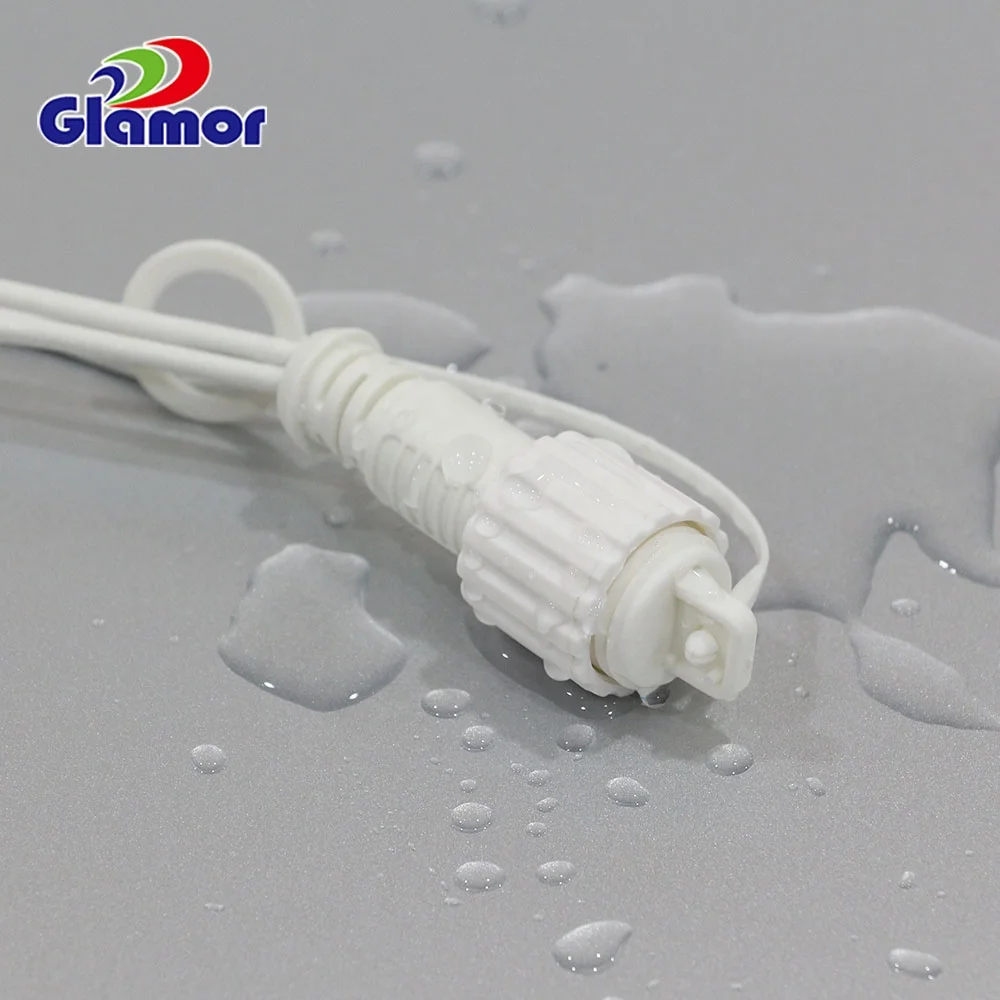 IP65 New decoration remote control dual color light chain outdoor string light for Christmas