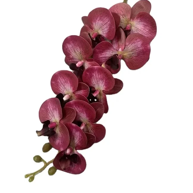 Wholesale High Quality 9 Heads Large Artificial Phalaenopsis Butterfly Orchid Real Touch Orchids Latex Decorative Flower