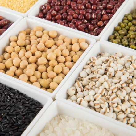 Оборудование для сушки пищевых продуктов для собак, корма для рыбы, сушилка для пищевых продуктов