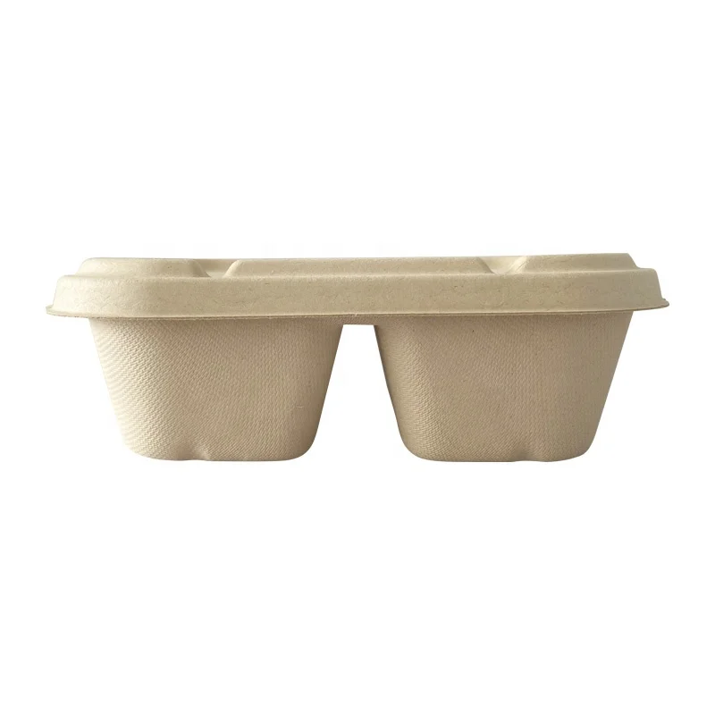 Compostable Togo Food Delivery Sugarcane Bagasse Pulp Lunch Box with Divider and Lid Sugarcane Food Box for Take Away Restaurant