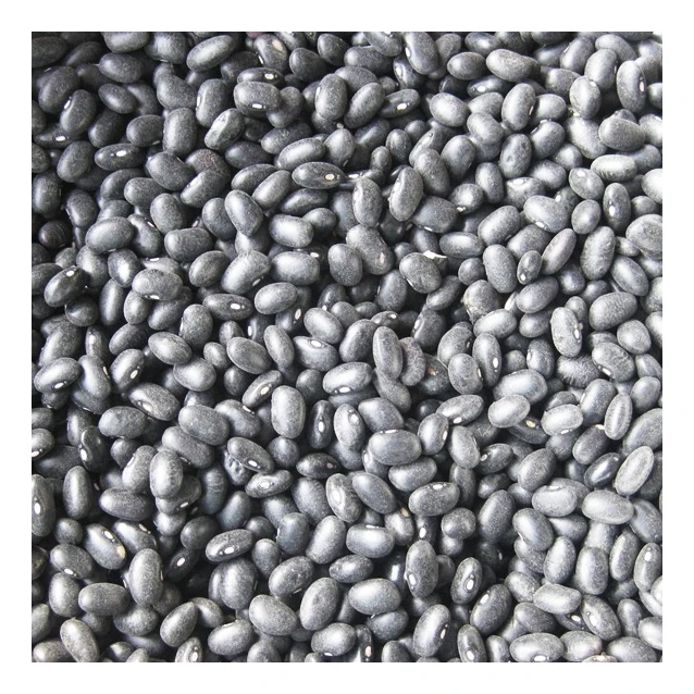 Wholesale High Quality Organic Nutrition Healthy Black Kidney Bean