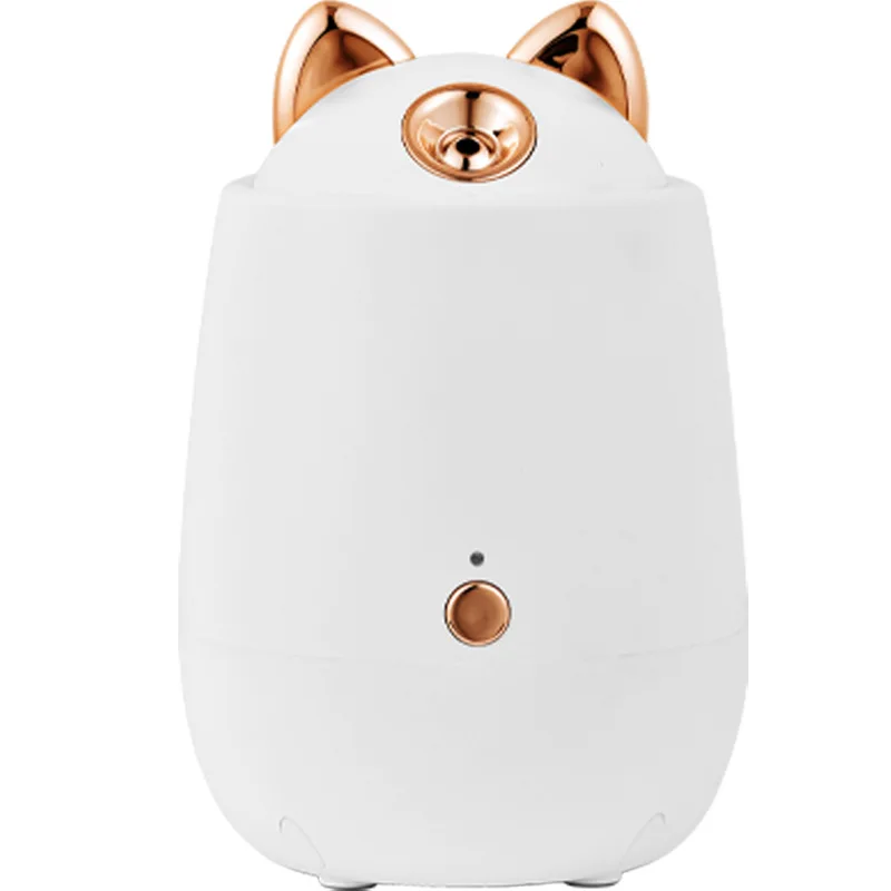 Factory Customization Facial Steamer Machine Private Label Nano Small Face vaporizer for Skin Care Device