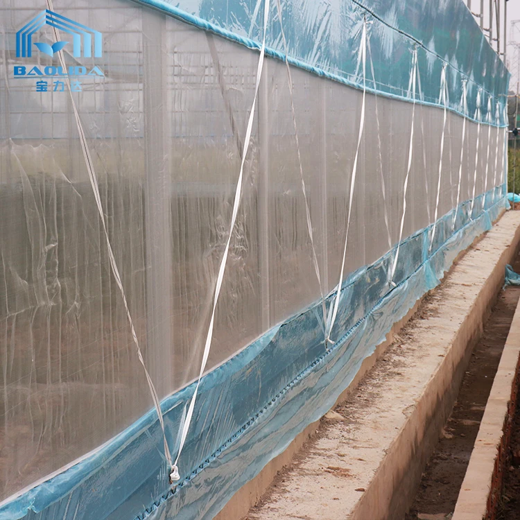 Cheap Tomato Agricultural Plastic Film Cover Low Cost Economic Large Multispan Greenhouse for Vegetable