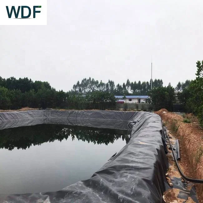 HDPE гидроизоляционный пластиковый геомембранный лист для аквакультуры Пруд Лайнер