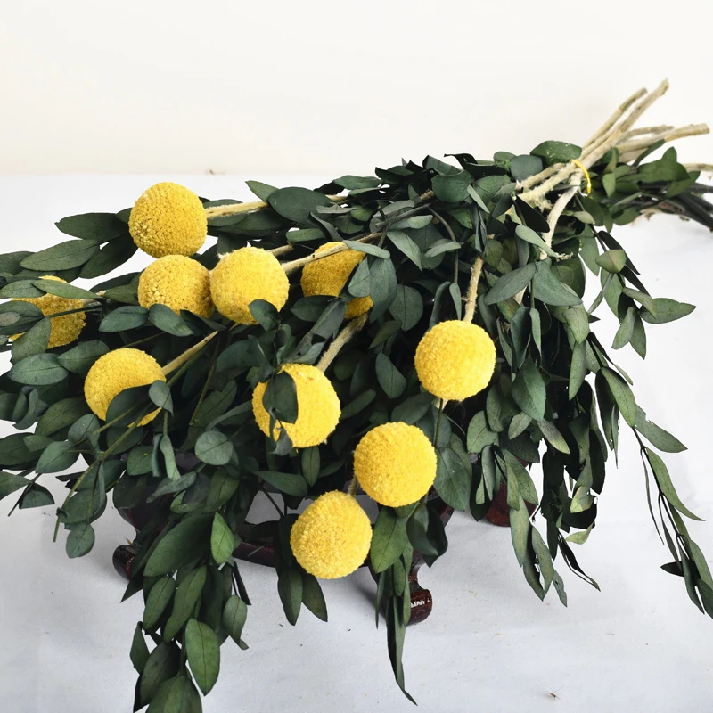 Amazon Top Seller Golden Ball Craspedia Eucalyptus Wedding Decoration Dried Flower Bouquet