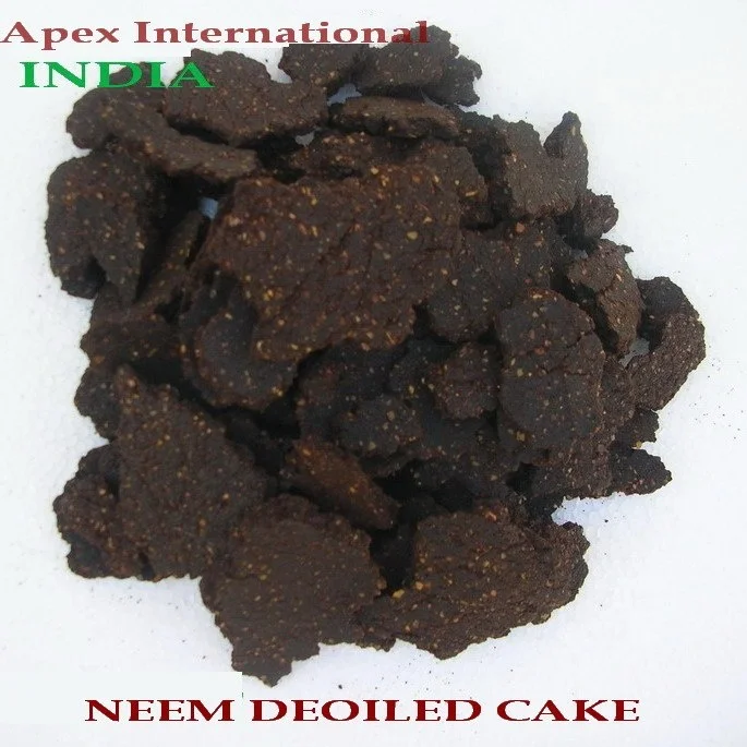 Azardirachta Indica Kernel Deoiled Cake Neem kernel Cake Powder Neem kernel Cake