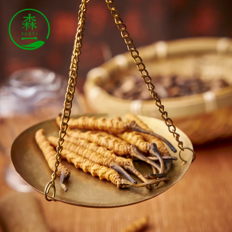 dried dong chong xia cao organic cordyceps cordyceps sinensis tea