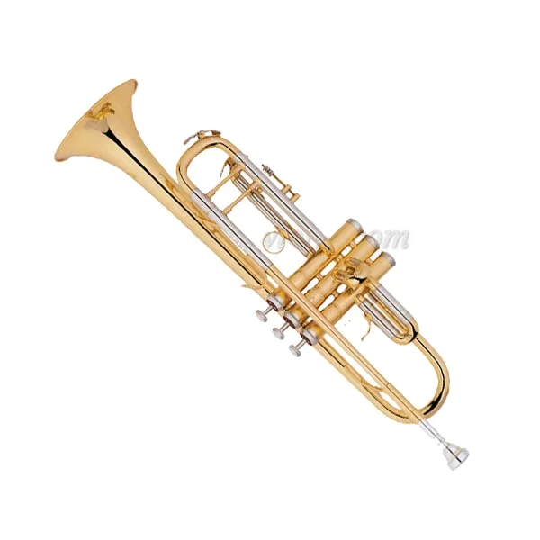 Professional Trumpet With Premium Case (TP8390G)