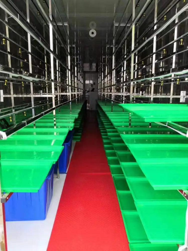 Great Quality Factory Price 1500kg/day Automatic Barley/wheat Green Grass Hydroponics Machine Fodder