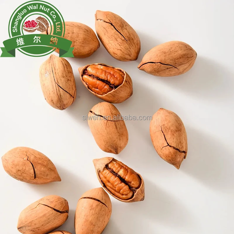 Good price high quality raw roasted Pecan kernel pecan nut