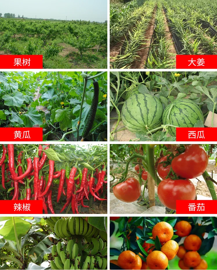 
Soil Disinfectant Long-Term Kill Root-knot Nematode Clubroot Insecticide Nematicide Fosthiazate 10% GR 