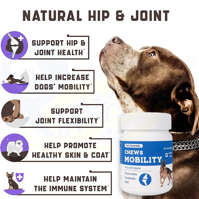 Dog Health Care Products Joint Supplement Msm Flex Extend Muscles Health Advanced Hip & Joint - Dog Joint Supplement