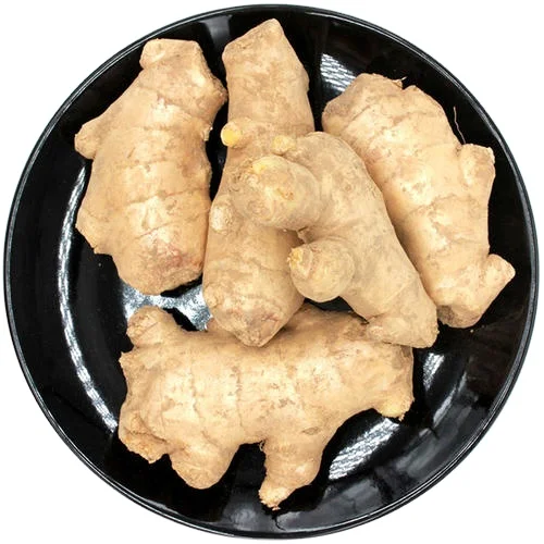 ginger slice cutting machine red ginger buyers