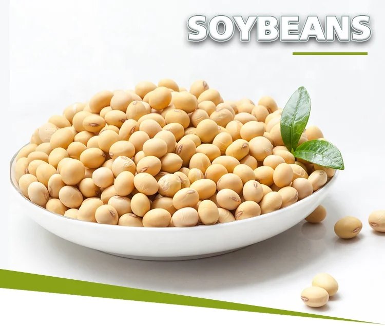 Vacuum Packed Natural Non-Gmo Soybeans Soya Bean Soybean