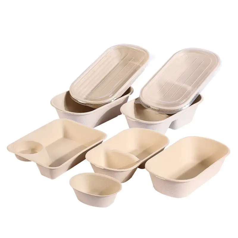 Manufacture Factory compostable Biodegradable Bagasse Packaging disposable sugarcane Buger pulp paper box